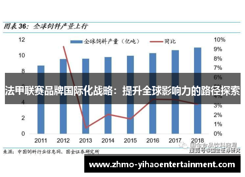 法甲联赛品牌国际化战略：提升全球影响力的路径探索